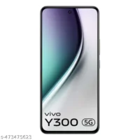 Vivo Y300 5G 8GB 256GB Titanium Silver - Image 3