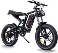 Electric Bike for Adults